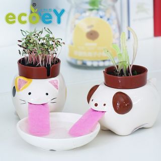 創(chuàng)意實(shí)用小物 韓國(guó)女生愛(ài)用的懶人時(shí)髦日用品推薦